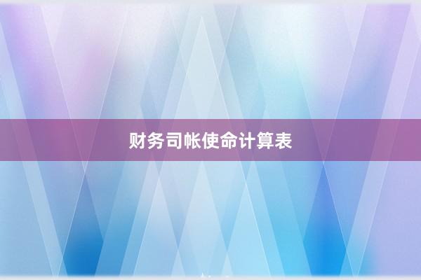 财务司帐使命计算表