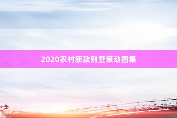 2020农村新款别墅策动图集