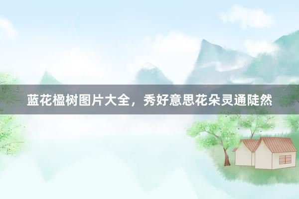 蓝花楹树图片大全，秀好意思花朵灵通陡然