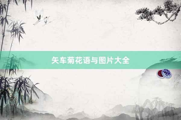 矢车菊花语与图片大全