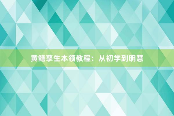 黄鳝孳生本领教程：从初学到明慧